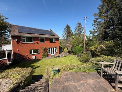Picture 19